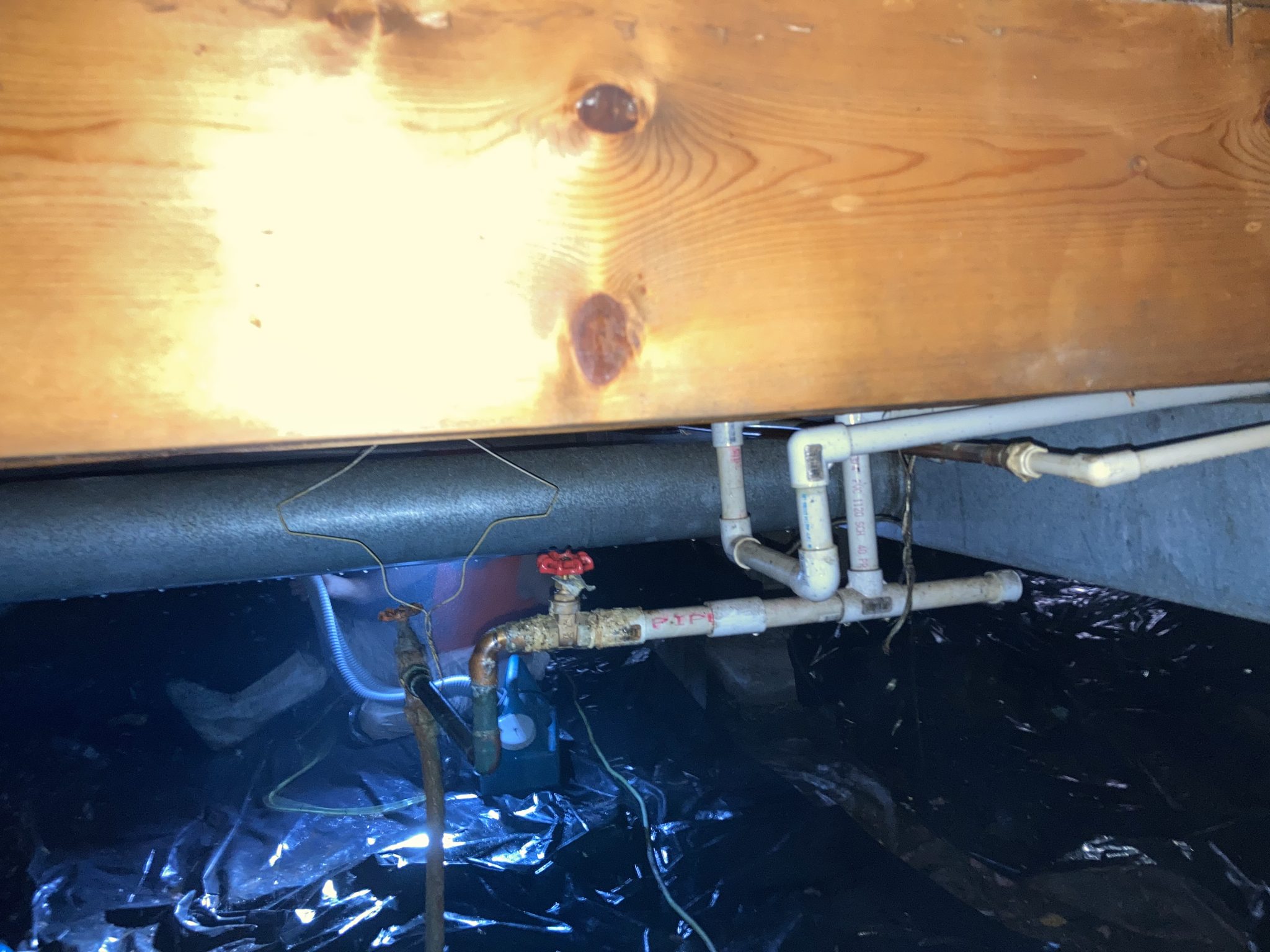 Before & After Peoria Mold Peoria Illinois Area Mold Removal and